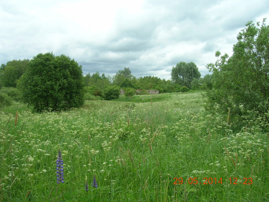 Incentives for investors