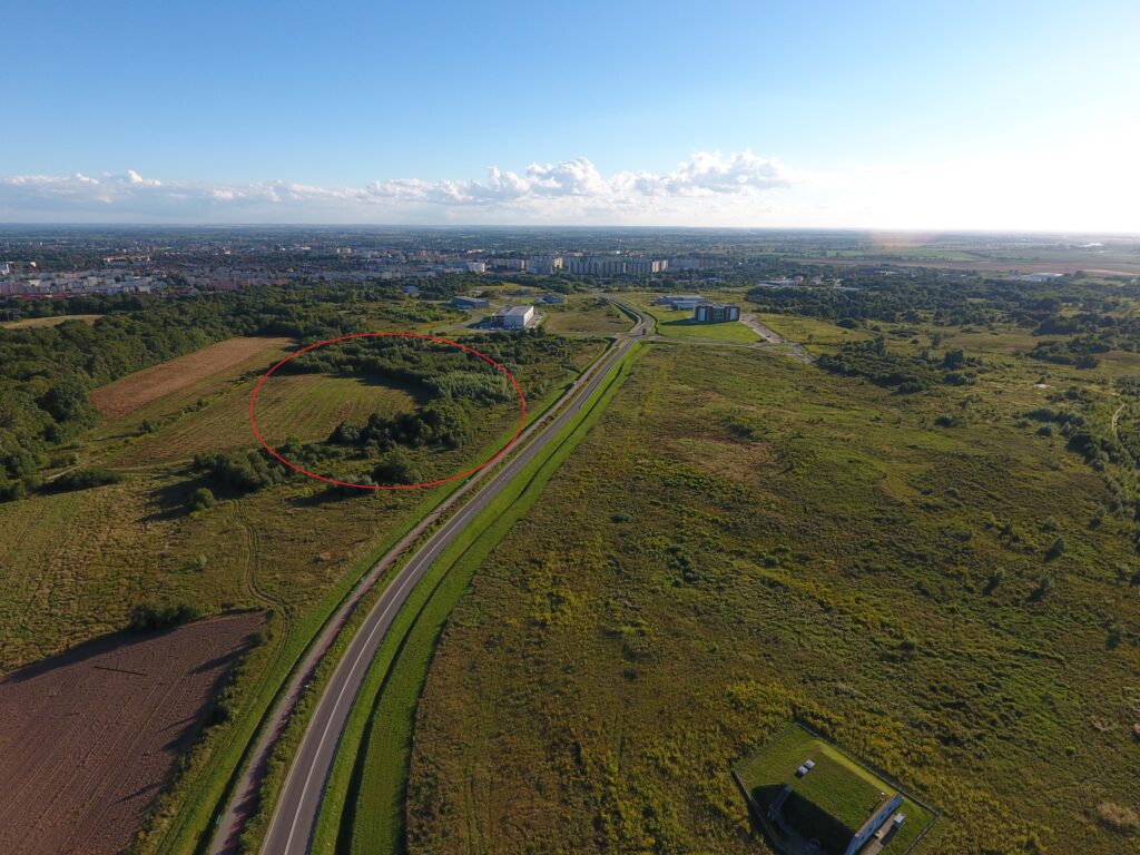 Elbląg, Modrzewina Południe – 9,31 ha